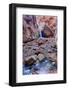 Utah, Kanarraville, Kanarra Creek Canyon and Waterfall-Jamie And Judy Wild-Framed Photographic Print