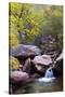 Utah, Kanarraville, Kanarra Creek Canyon-Jamie And Judy Wild-Stretched Canvas