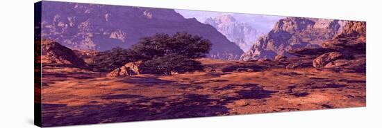 Utah Landscape Canyon-Designwest-Stretched Canvas