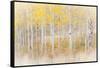 Utah, Manti-La Sal National Forest. Aspen Forest Scenic-Jaynes Gallery-Framed Stretched Canvas
