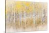 Utah, Manti-La Sal National Forest. Aspen Forest Scenic-Jaynes Gallery-Stretched Canvas