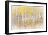 Utah, Manti-La Sal National Forest. Aspen Forest Scenic-Jaynes Gallery-Framed Photographic Print