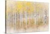 Utah, Manti-La Sal National Forest. Aspen Forest Scenic-Jaynes Gallery-Stretched Canvas