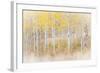 Utah, Manti-La Sal National Forest. Aspen Forest Scenic-Jaynes Gallery-Framed Photographic Print