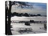 Utah, Mt. Carmel Junction, Buffalo Ranch, Winter, USA-Walter Bibikow-Stretched Canvas