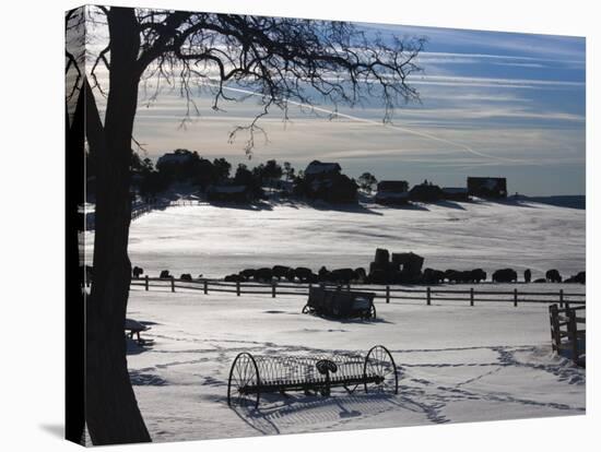 Utah, Mt. Carmel Junction, Buffalo Ranch, Winter, USA-Walter Bibikow-Stretched Canvas