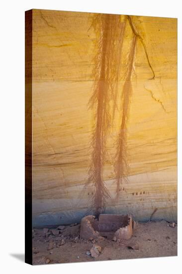 Utah, Natural Bridges National Monument-Judith Zimmerman-Stretched Canvas