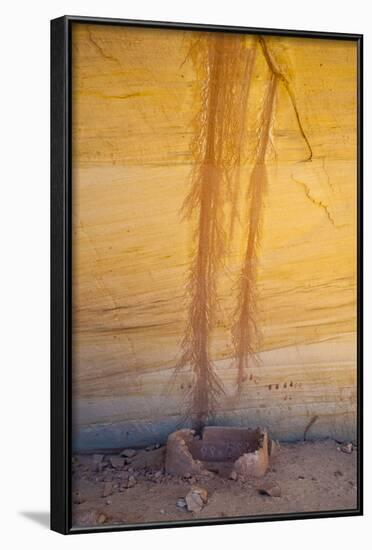 Utah, Natural Bridges National Monument-Judith Zimmerman-Framed Photographic Print