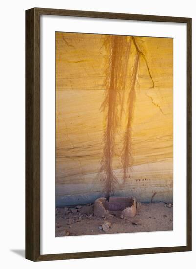 Utah, Natural Bridges National Monument-Judith Zimmerman-Framed Photographic Print