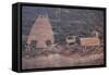 Utah, Owl Panel with Big Horn Sheep, Ancient Petroglyph-Judith Zimmerman-Framed Stretched Canvas