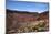 Utah, Us Route 191 and Zigzag Road Entering Arches National Park-David Wall-Mounted Photographic Print