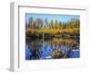 Utah. USA. Willows and Aspens in Autumn at Beaver Pond in Logan Canyon-Scott T. Smith-Framed Photographic Print