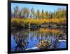 Utah. USA. Willows and Aspens in Autumn at Beaver Pond in Logan Canyon-Scott T. Smith-Framed Photographic Print