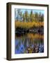 Utah. USA. Willows and Aspens in Autumn at Beaver Pond in Logan Canyon-Scott T. Smith-Framed Photographic Print