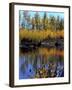 Utah. USA. Willows and Aspens in Autumn at Beaver Pond in Logan Canyon-Scott T. Smith-Framed Photographic Print