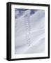 Utah, USA-null-Framed Photographic Print