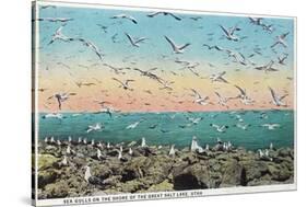 Utah, View of Sea Gulls Landing on the Great Salt Lake Shore-Lantern Press-Stretched Canvas