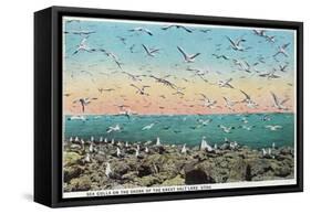 Utah, View of Sea Gulls Landing on the Great Salt Lake Shore-Lantern Press-Framed Stretched Canvas