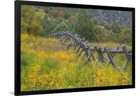 Utah, Wasatch Mountains. Fence and Meadow Landscape-Jaynes Gallery-Framed Photographic Print