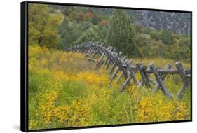 Utah, Wasatch Mountains. Fence and Meadow Landscape-Jaynes Gallery-Framed Stretched Canvas