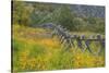 Utah, Wasatch Mountains. Fence and Meadow Landscape-Jaynes Gallery-Stretched Canvas