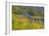 Utah, Wasatch Mountains. Fence and Meadow Landscape-Jaynes Gallery-Framed Photographic Print