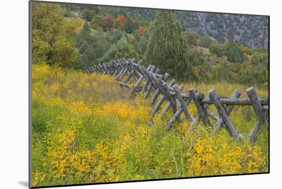 Utah, Wasatch Mountains. Fence and Meadow Landscape-Jaynes Gallery-Mounted Photographic Print