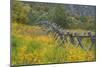 Utah, Wasatch Mountains. Fence and Meadow Landscape-Jaynes Gallery-Mounted Photographic Print