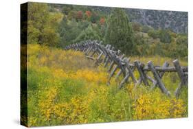 Utah, Wasatch Mountains. Fence and Meadow Landscape-Jaynes Gallery-Stretched Canvas