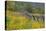 Utah, Wasatch Mountains. Fence and Meadow Landscape-Jaynes Gallery-Stretched Canvas