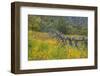 Utah, Wasatch Mountains. Fence and Meadow Landscape-Jaynes Gallery-Framed Photographic Print