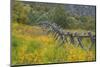 Utah, Wasatch Mountains. Fence and Meadow Landscape-Jaynes Gallery-Mounted Photographic Print