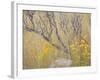 Utah, Wasatch Mountains. Sagebrush and Common Dogbane in Fall Meadow-Jaynes Gallery-Framed Photographic Print