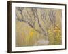 Utah, Wasatch Mountains. Sagebrush and Common Dogbane in Fall Meadow-Jaynes Gallery-Framed Photographic Print