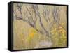 Utah, Wasatch Mountains. Sagebrush and Common Dogbane in Fall Meadow-Jaynes Gallery-Framed Stretched Canvas