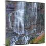 Utah, Wasatch Mountains. View of Bridal Veil Falls-Jaynes Gallery-Mounted Photographic Print