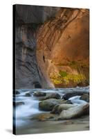 Utah, Zion National Park. Autumn Foliage on Wall Inside the Narrows, with Rocks and Virgin River-Judith Zimmerman-Stretched Canvas