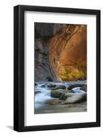 Utah, Zion National Park. Autumn Foliage on Wall Inside the Narrows, with Rocks and Virgin River-Judith Zimmerman-Framed Photographic Print
