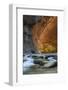 Utah, Zion National Park. Autumn Foliage on Wall Inside the Narrows, with Rocks and Virgin River-Judith Zimmerman-Framed Photographic Print