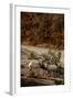 Utah, Zion National Park, Big Horn Sheep Gathered on Rocky Ledge with Autumn Foliage in Background-Judith Zimmerman-Framed Photographic Print