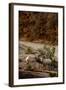 Utah, Zion National Park, Big Horn Sheep Gathered on Rocky Ledge with Autumn Foliage in Background-Judith Zimmerman-Framed Photographic Print