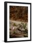 Utah, Zion National Park, Big Horn Sheep Gathered on Rocky Ledge with Autumn Foliage in Background-Judith Zimmerman-Framed Premium Photographic Print