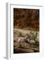 Utah, Zion National Park, Big Horn Sheep Gathered on Rocky Ledge with Autumn Foliage in Background-Judith Zimmerman-Framed Premium Photographic Print