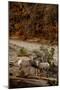 Utah, Zion National Park, Big Horn Sheep Gathered on Rocky Ledge with Autumn Foliage in Background-Judith Zimmerman-Mounted Premium Photographic Print