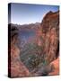 Utah, Zion National Park, from Canyon Overlook, USA-Alan Copson-Stretched Canvas