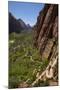 Utah, Zion National Park, Hikers Climbing Up West Rim Trail and Angels Landing-David Wall-Mounted Premium Photographic Print