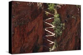 Utah, Zion National Park, Hikers on Walters Wiggles Zigzag-David Wall-Stretched Canvas