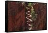 Utah, Zion National Park, Hikers on Walters Wiggles Zigzag-David Wall-Framed Stretched Canvas