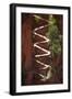 Utah, Zion National Park, Hikers on Walters Wiggles Zigzag-David Wall-Framed Photographic Print