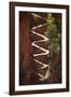 Utah, Zion National Park, Hikers on Walters Wiggles Zigzag-David Wall-Framed Photographic Print